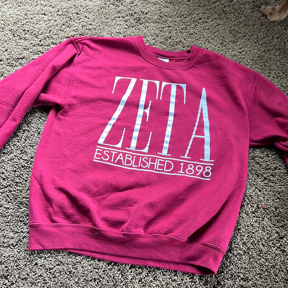 ZTA crew neck